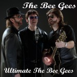 Buy Ultimate The Bee Gees CD3