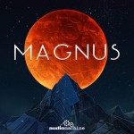 Buy Magnus