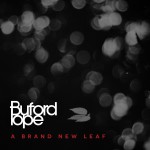 Buy A Brand New Leaf