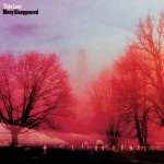 Buy Many Disappeared
