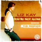Buy You're Not Alone (The Remixes)