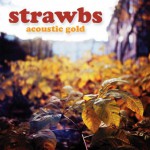 Buy Acoustic Gold