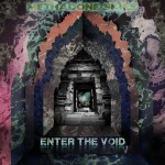 Buy Enter The Void