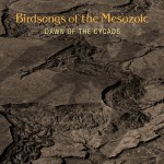 Buy Dawn Of The Cycads CD1