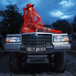 Buy Sally Walker (CDS)