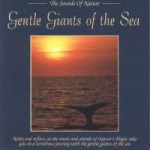 Buy Gentle Giants Of The Sea
