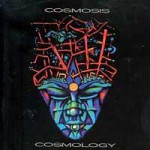 Buy Cosmology