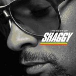 Buy The Best Of Shaggy