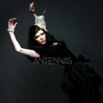 Buy Feeling Feeline Tonight