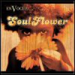 Buy Soul Flower