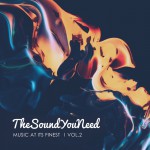 Buy Thesoundyouneed Vol 2 (Unmixed Tracks)
