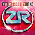 Buy Joey Negro's 2018 Essentials