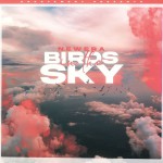 Buy Birds In The Sky (CDS)