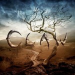 Buy Claw