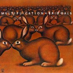 Buy Multiplication (Vinyl)