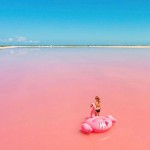 Buy A Beautiful Memory