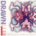 Buy Drawn From Life (With J. Peter Schwalm)