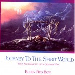 Buy Journey To The Spirit World