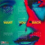 Buy Want You Back (CDS)