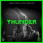 Buy Thunder (Feat. Lum!x & Prezioso) (CDS)