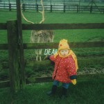 Buy Dear. (EP)