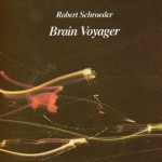 Buy Brain Voyager