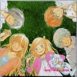 Buy Honey And Clover