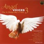 Buy Angel Voices 3
