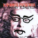 Buy Angry Einstein