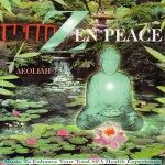 Buy Zen Peace: Music For Spas