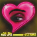 Buy New Love (Original Mix) (CDS)