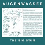 Buy The Big Swim