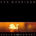 Buy Avalon Sunset