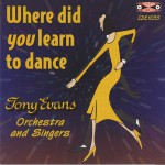 Buy Where Did You Learn To Dance