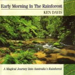 Buy Early Morning In The Rainforest