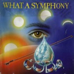 Buy What A Symphony CD1