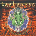 Buy Tantrance 11: A Trip To Progressive And Psychedelic Trance CD2