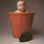 Buy Baby James Harvest (Vinyl)