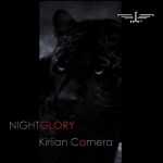 Buy Nightglory CD1