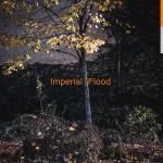 Buy Imperial Flood