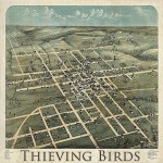 Buy Thieving Birds