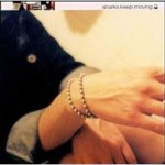 Buy Sharks Keep Moving