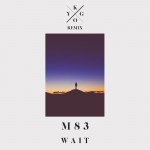 Buy Wait (Kygo Remix) (CDS)