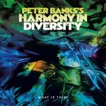 Buy Peter Banks's Harmony In Diversity - The Complete Recordings CD2