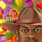 Buy Tulip Drive
