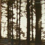 Buy The Wind Is Strong