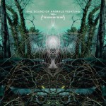 Buy The Ocean And The Sun