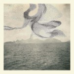 Buy A Small Murmuration