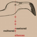 Buy Natural & Cultural Forces