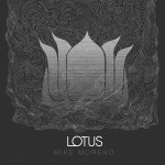 Buy Lotus